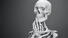La ceinture scapulaire : clavicule et scapula (omoplate)