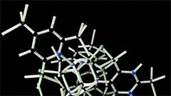 La transcription de l'ADN