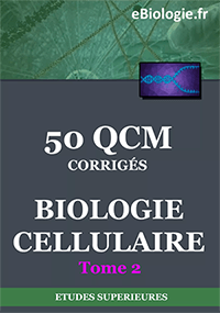 ebook